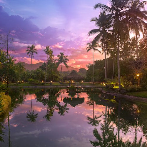 3 Ways to Make your Garden Space Glow